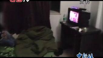 国产男同志tv视频在线观看,在线观看，尽享激情瞬间