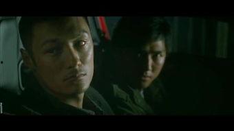 男儿本色国产在线观看,热血国产剧，在线观看燃情岁月